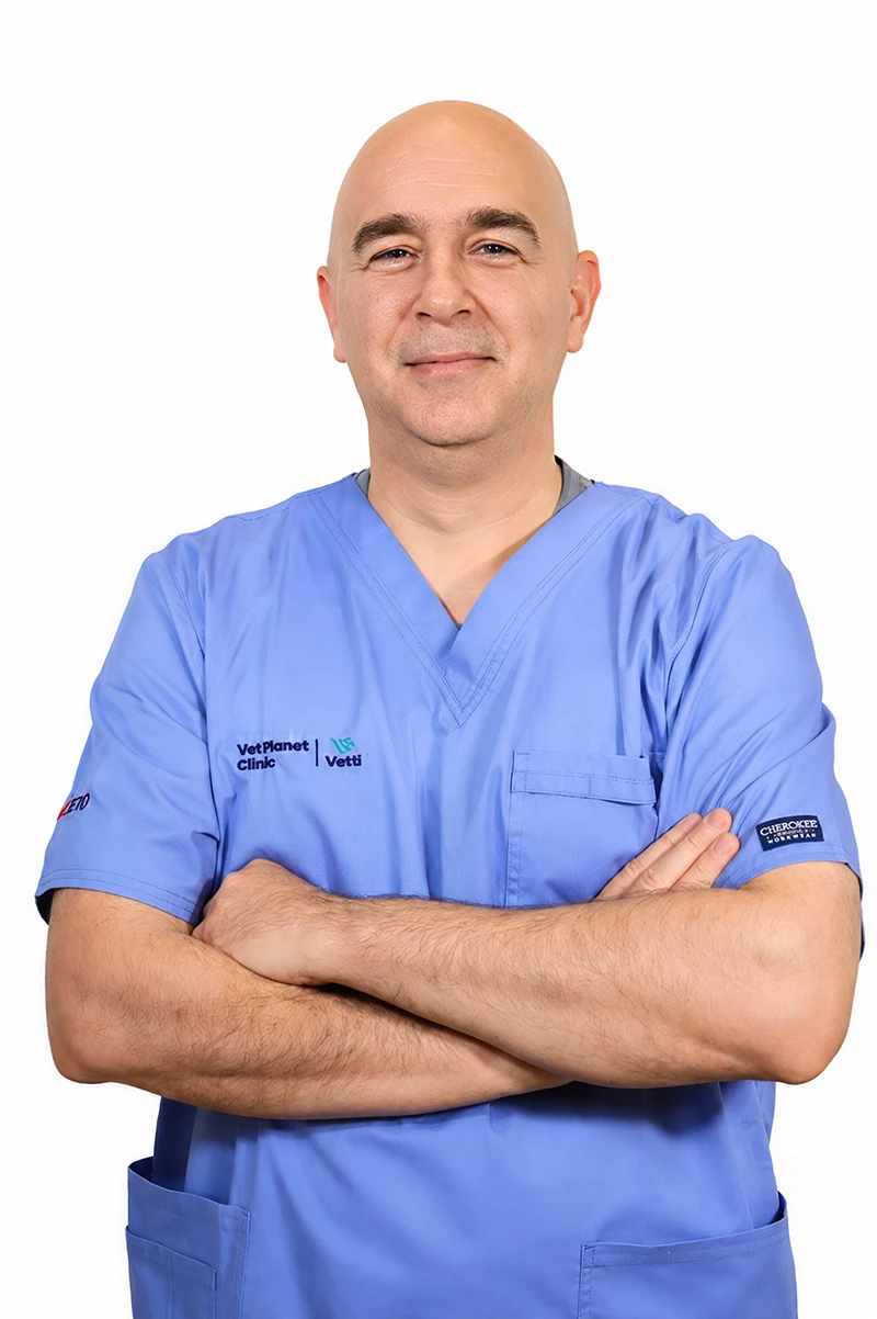 DVM Dejan Milosavljević