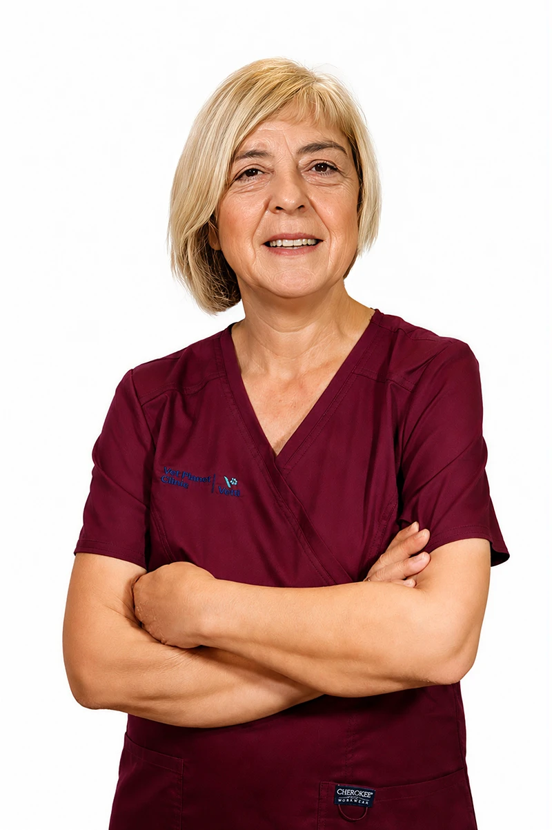 DVM Nataša Ostojić