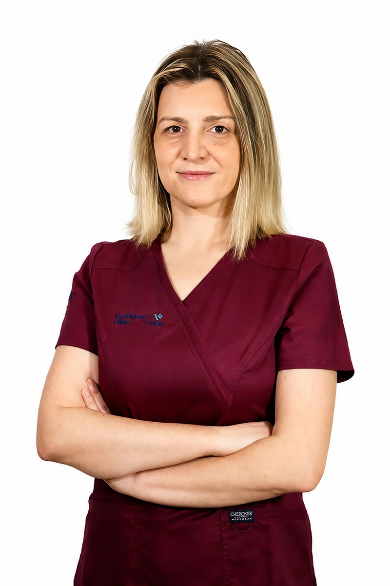 DVM Nikolina Bjelica