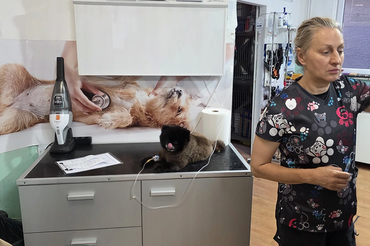 Pet Vet Care 33833 Pet Vet Care 33833