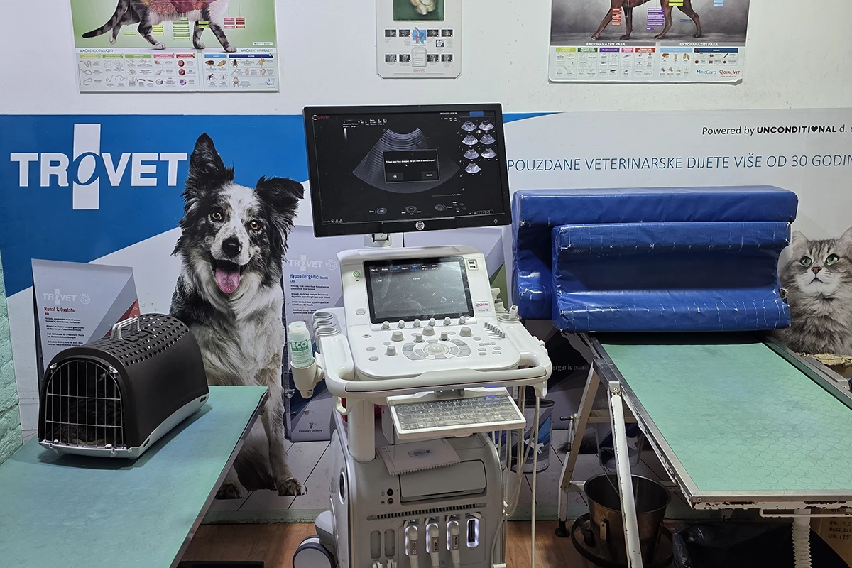 Pet Vet Care 33834 Pet Vet Care 33834
